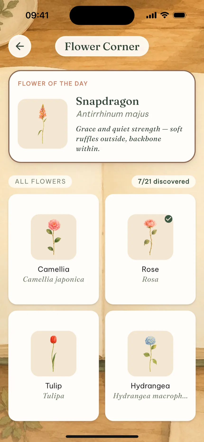 The Flower Corner screen: snapdragon as flower of the day, 7 of 21 flowers discovered.